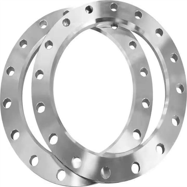 Ss Pipe Flanges best